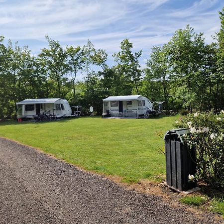 Camping Alkenhaer Appelscha Lege Kampeerplaats Exterior foto