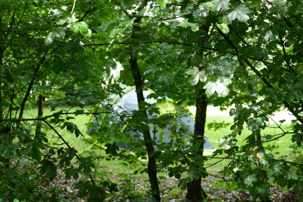 Camping Alkenhaer Appelscha Lege Kampeerplaats Exterior foto